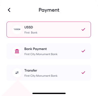 Multiple channel payments options